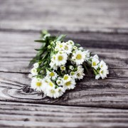 Bukiet lubny z polnych kwiatw